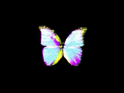 ka$hdami x Lil morty x Stupidxool x Plugg type beat - Neverborn