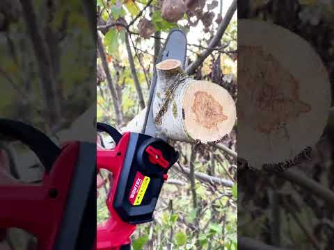 фото пила цепная wortex cec 2518-3 all1 xlt set бесщеточная, аккумуляторная 18 в, 25.4 см вортекс 0