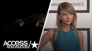 A Wildlife Expert Weighs In On Taylor Swift's Social Media Snake