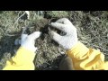 Такой-бы бывший пляж, да с империей))) Такой-бы бывший пляж, да с империей)))