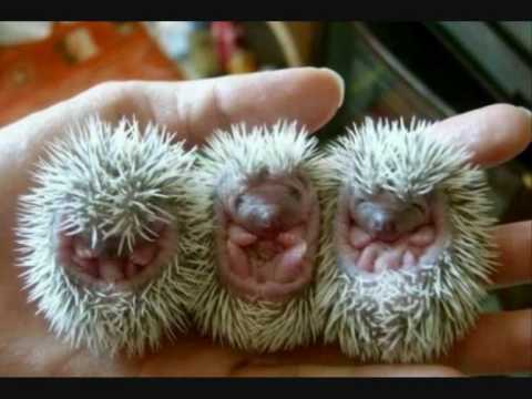 D-Bag feat. Naan - Milk (Gigi Barocco Remix)(By Djohnny)