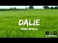 Kamo mphela , Khalil Harrison & Tyler ICU - Dalie ( feat. Baby S.O.N) lyrics