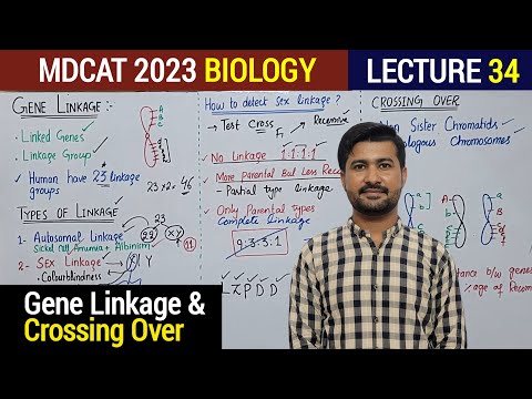 MDCAT Lecture Gene Linkage and Crossing Over explain in URDU/Hindi 2023