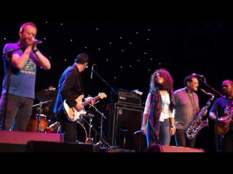 Jam Session with lots of guests - Muddy Water (08.02.2017, Norwegian Jade)