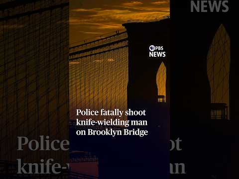 Police fatally shoot knife-wielding man on Brooklyn Bridge