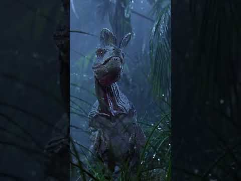 No Wonder You're Extinct #JurassicPark #Shorts