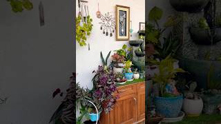 Home entrance decoration ideas #home #entrancedecor #plants #gardening #shorts #youtubeshorts