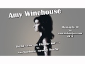 Amy Winehouse - Stronger Than Me vs. The RH Factor feat. D'Angelo - Bull***t