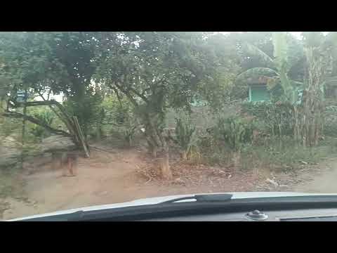 Passando no sítio maravilha Machados Pernambuco indo pra casa da minha amiga de infância dona Tereza