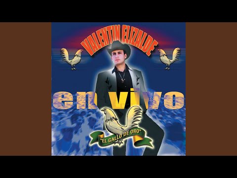 Juan Martha (Version Norteña/En Vivo Desde Delfos, Guadalajara/2002)