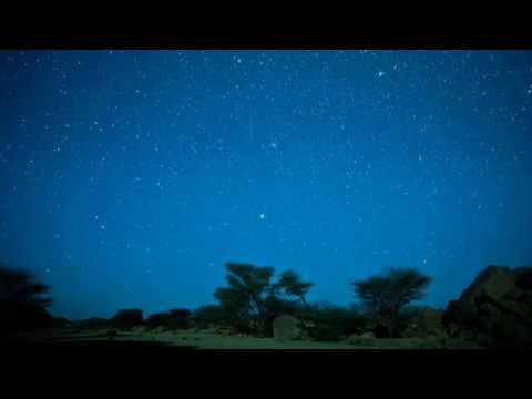 SAVJETI MELEKA DZIBRILA - Semir Dreic