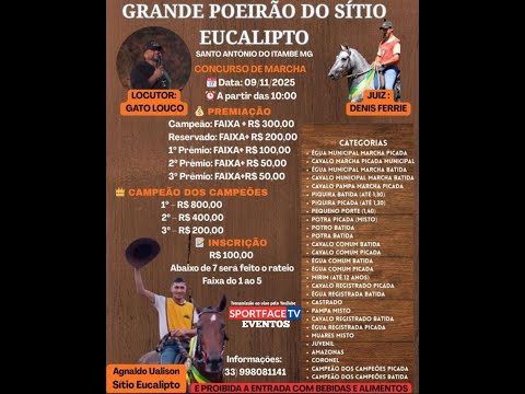 GRANDE POEIRÃO DO SÍTIO EUCALIPTO - SANTO ANTONIO DO ITAMBÉ  MG - LIVE 01