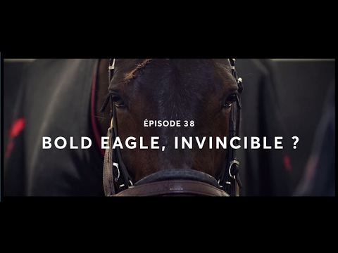 EpiqE Series - Episode 38 : Bold Eagle, invincible ?