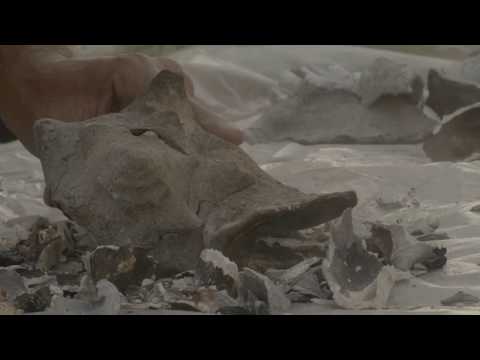 Poetry Short Film: Peeling