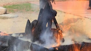 Czech zoo burns horns it sawed off rhinos after French attack
