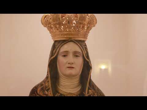 Domenica delle Palme 14 aprile 2019