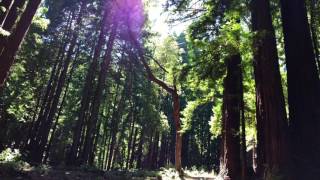 Laraaji – Deep Celestial