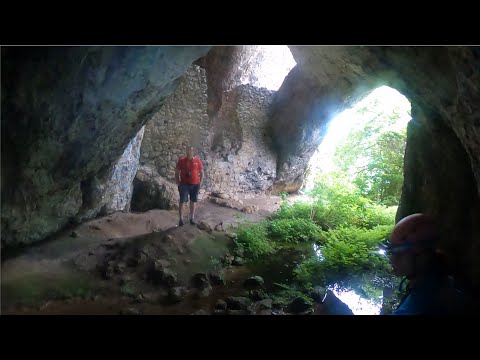 YouTube - Gaura cu Muscă