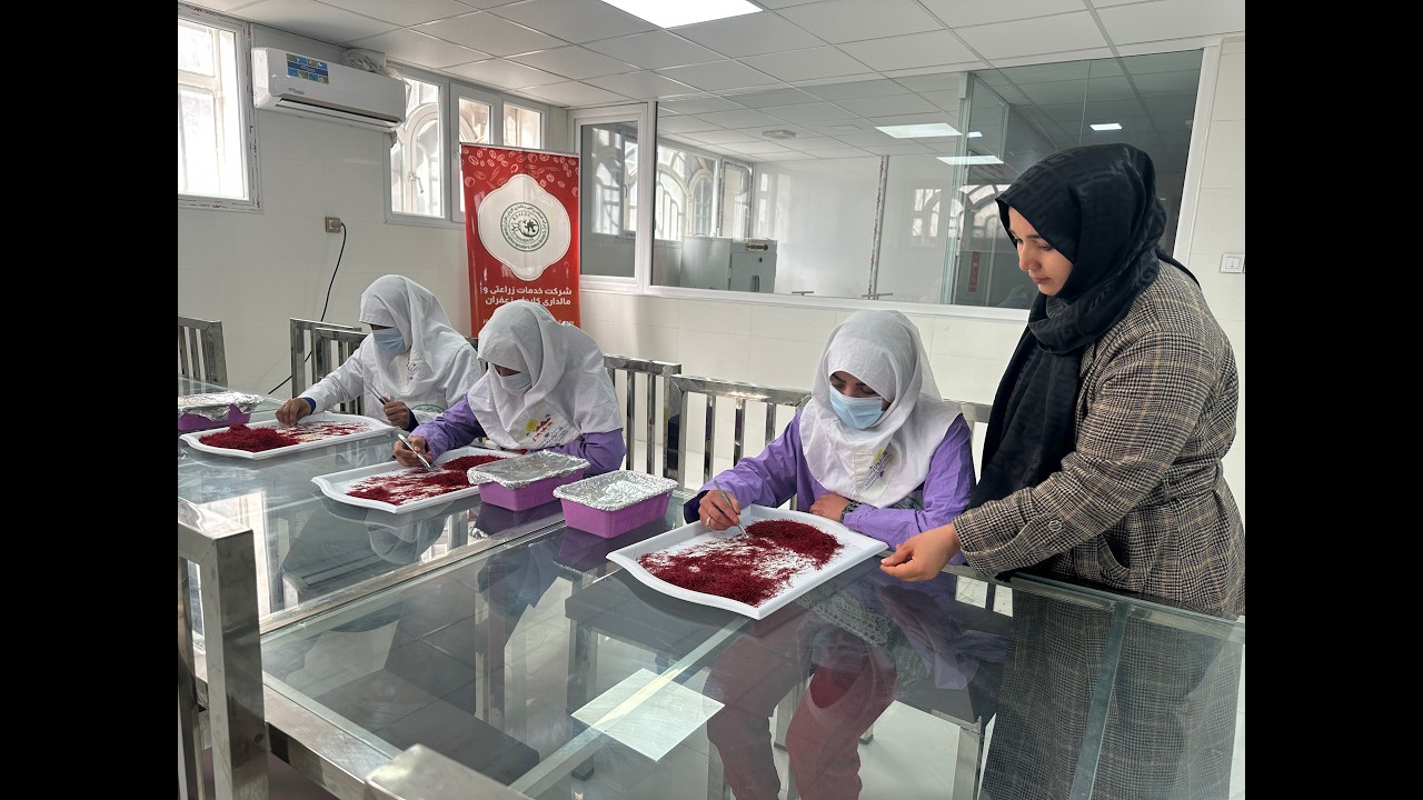 UNCTAD Study on Clustered MSMEs and Economic Recovery in Afghanistan