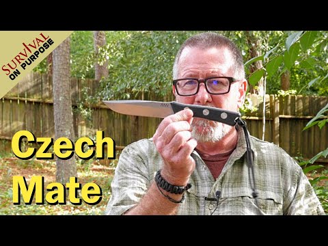 Acta Non Verba P300 From The Czech Republic - Sharp Saturday