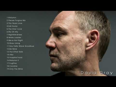 The Very Best of David Gray - David Gray Greatest Hits Full Album 2022