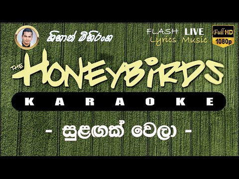 Sulagak Wela Oba Soya karaoke (Without Voice) සුළඟක් වෙලා ඔබ සොයා කැරෝකේ