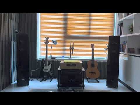 elac concentro s507. ampli gryphon diablo 300. cd accuphase dp 700
