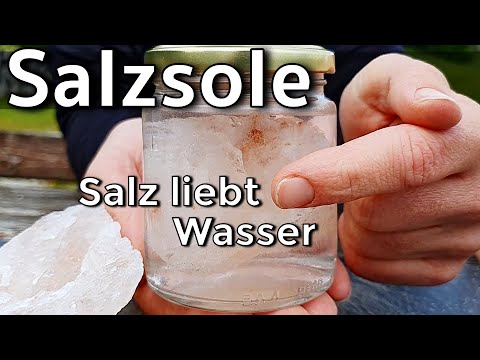 Lecture: water and salt. Can you drink Himalaya salt? Make salt brine.