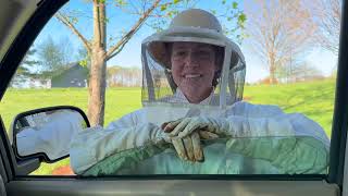 Episode 102 - Starting A Bees Colony On A Homestead - Picking Up Our Bee Swarm