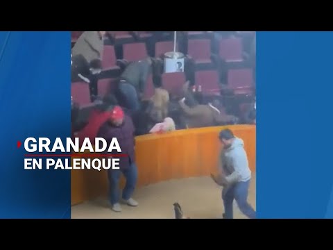 Detonan granada en un palenque de gallos en Hidalgo