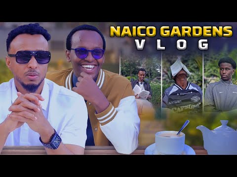 saalim kheyre and Rays History