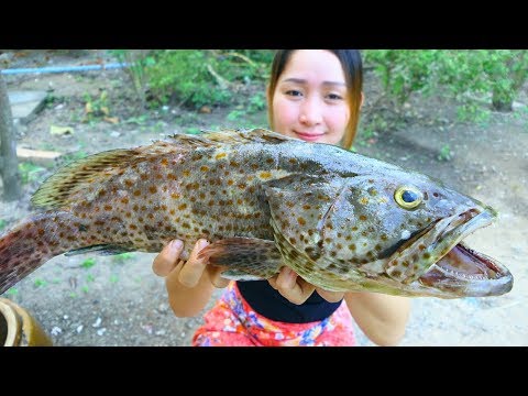 Yummy Giant Grouper Fish Steaming - Giant Grouper Fish Cooking - Cooking With Sros Video