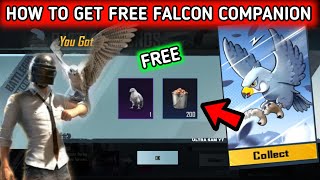 HOW TO GET FREE FALCON IN BGMI 🔥 HOW TO GET FREE COMPANION IN BGMI 🔥 FREE FALCON EVENT IN BGMI