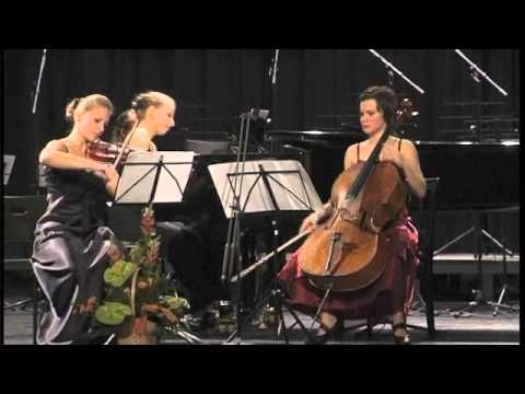 Beethoven D major trio Op. 70 No. 1. I. mt