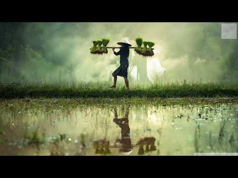 NEIKED - Call Me (feat. Mimi)