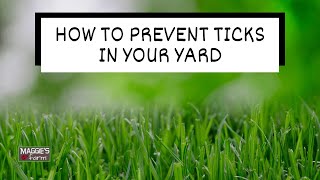 How to Prevent Ticks in Your Yard