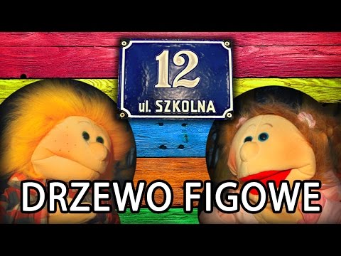 [odc. 13] Drzewo figowe