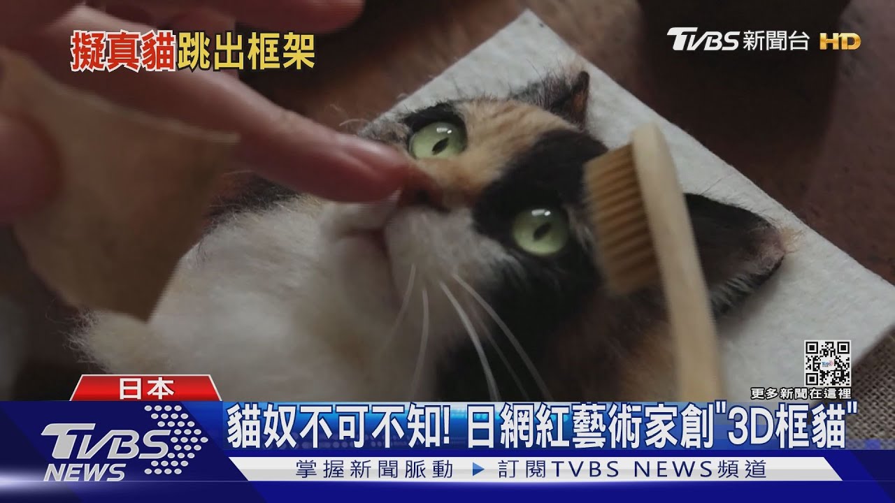 全球「貓奴」都愛! 日本藝術家創「擬真框貓」變網紅