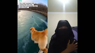 Download lagu something is wrong this dog reacts #cat #sad #dog #reaction #shorts mp3