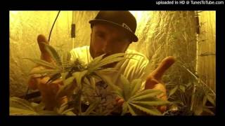 Papa Style - La France Fume Remix