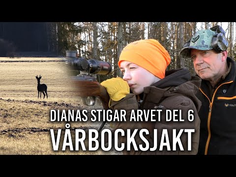 Dianas Stigar Arvet del 6 - Vårbock