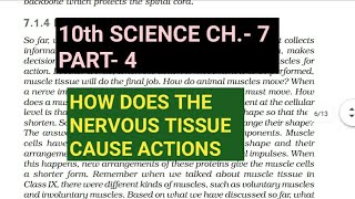 10th Science Ch.-7||Part-4||How does the nervous tissue cause actions||Study with Farru
