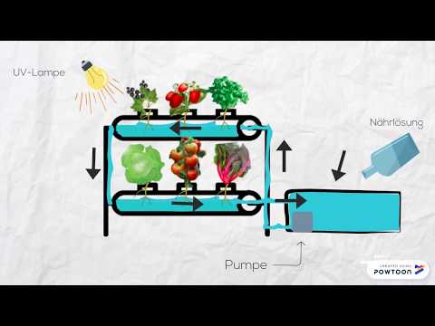 VeggiePonics: YooWeeDoo Ideenwettbewerb 2019