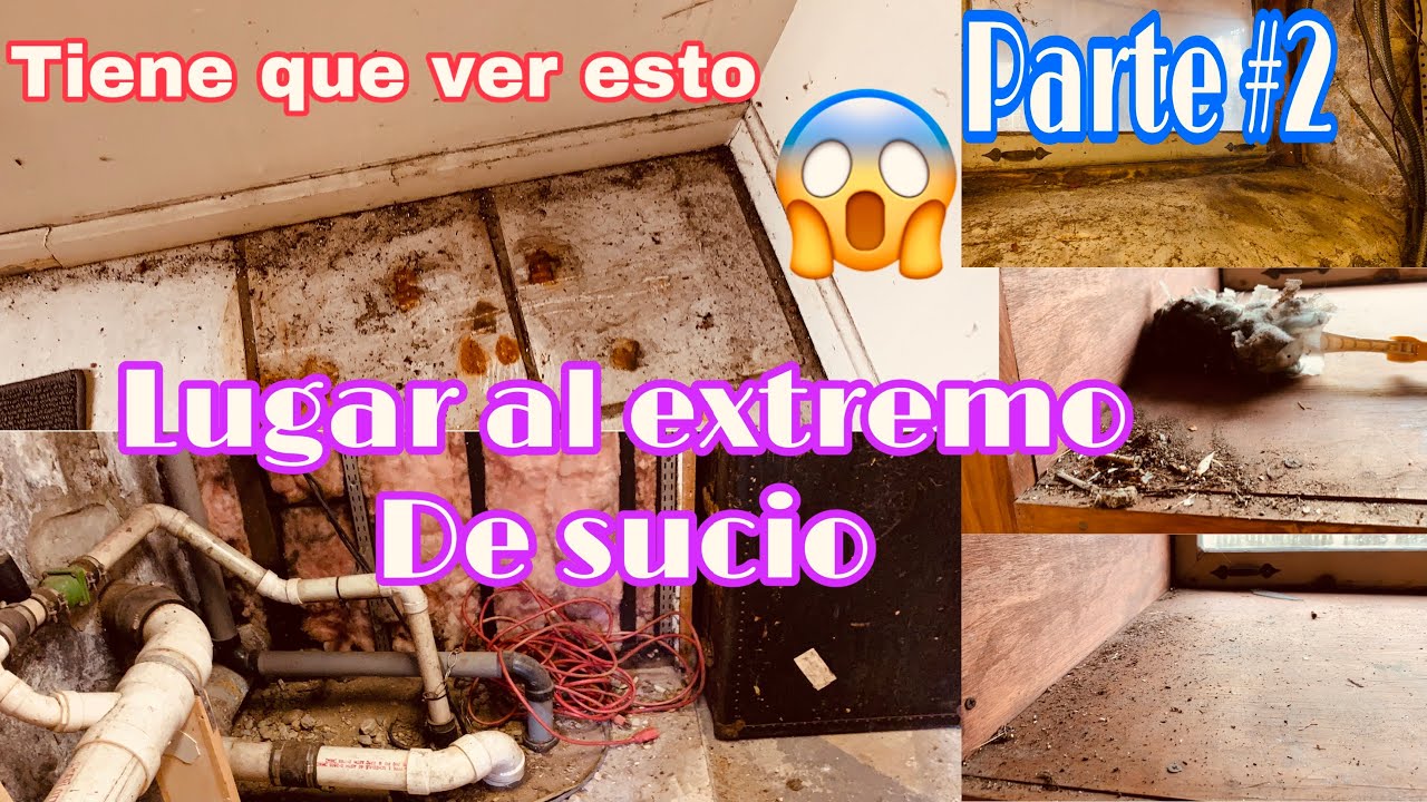 😱LIMPIAMOS un lugar al EXTREMO DE SUCIO- #limpieza - como LIMPIAR UNA CASA MUY SUCIA