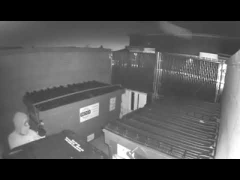 Motion-Activated Camera Response
