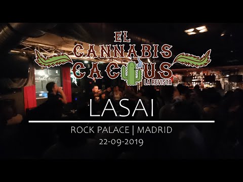 Lasai en directo | 2019 | Dubmingo en Rock Palace