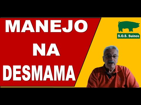 , title : 'SUINOCULTURA: Manejo na Desmama'