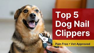 Top 5 best dog nail clipper ergonomic review (Hidden Gem) pa