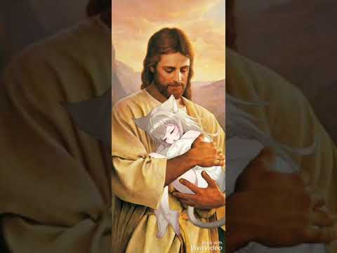 @Baatarfly-Uuchlaaraii