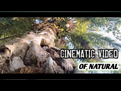 Cinematic Video Of Nature  | MI TASIN |